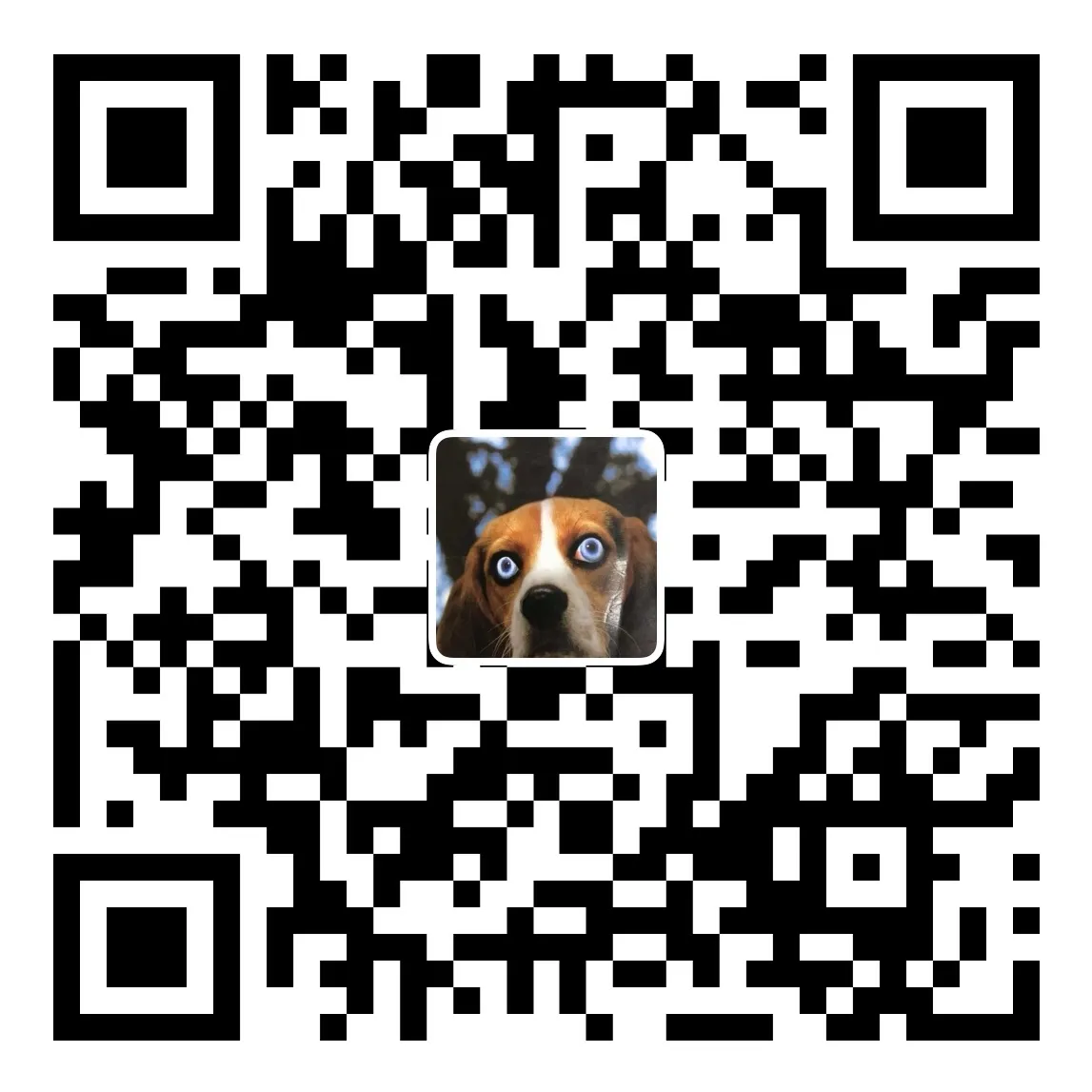 支付宝收款码